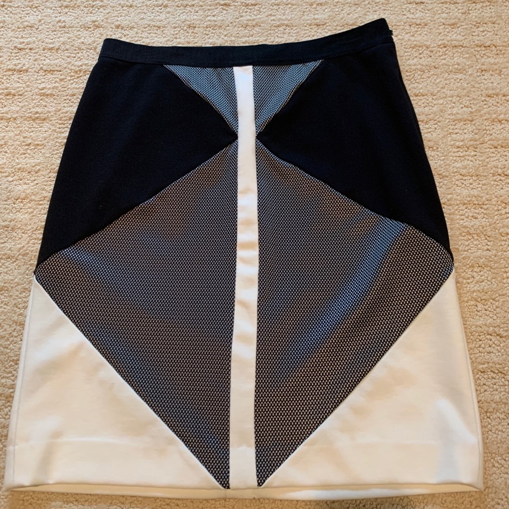 Ann Taylor skirt
